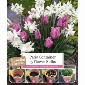Patio Container Tulip and Narcissus - 15 bulbs